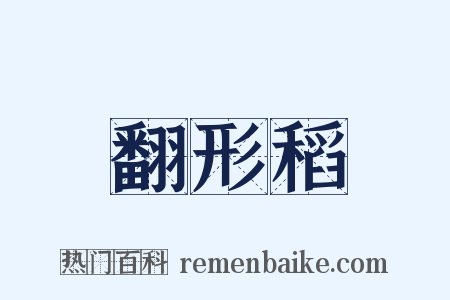 翻形稻是什么意思的图片